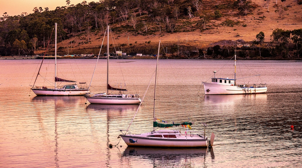 Boats at dusk at Port Huon, Tasmania, Australia