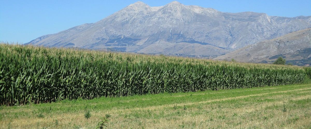 Fucino (sullo sfondo il monte Velino)