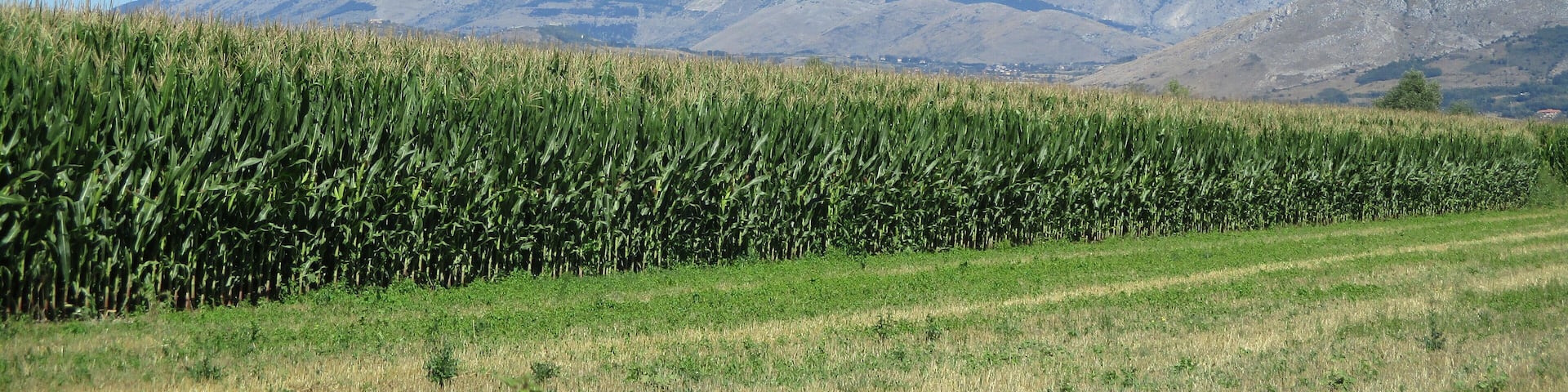 Fucino (sullo sfondo il monte Velino)
