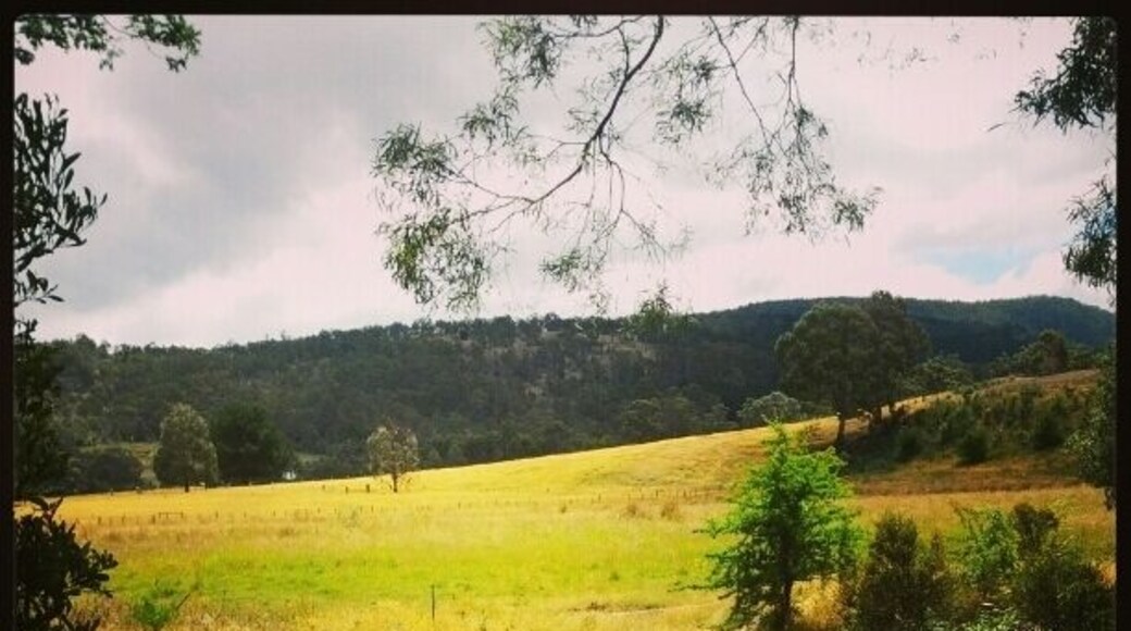 Possum Shed. Nice cafe with a great view and a playground.