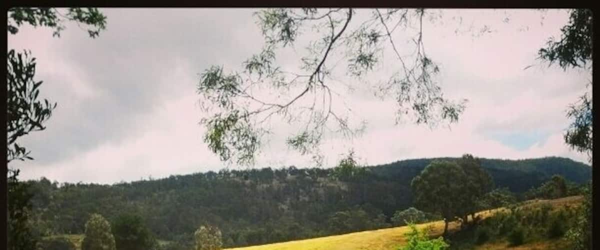 A picnic table by a river with a view of a grassy field and trees.