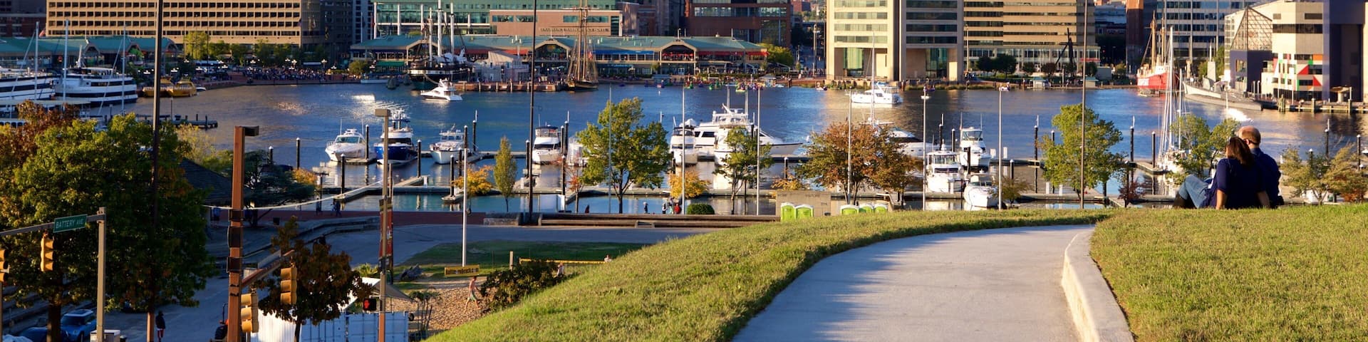 Una marina con barcos, un horizonte urbano con edificios modernos y un cielo azul despejado.