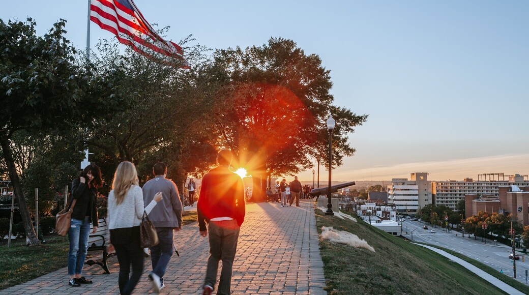 Federal Hill Park showing a sunset and a garden as well as a couple