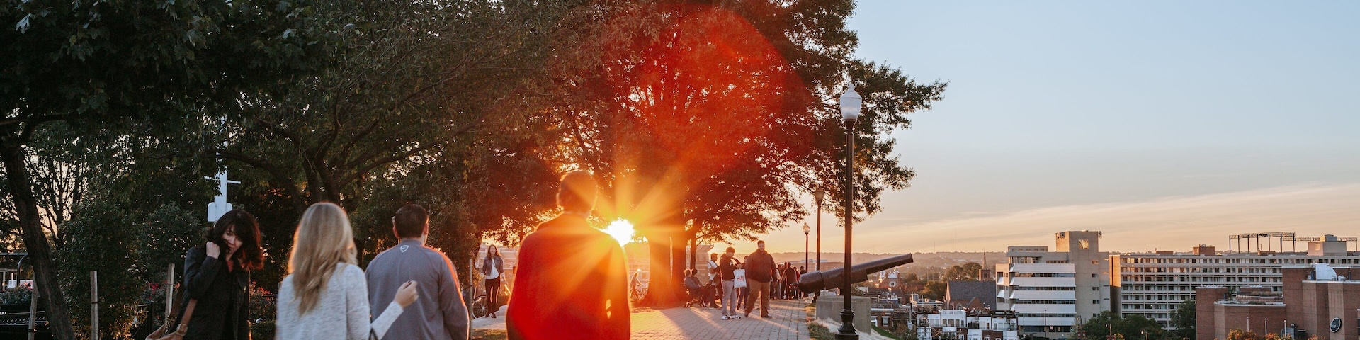 Federal Hill Park showing a sunset and a garden as well as a couple