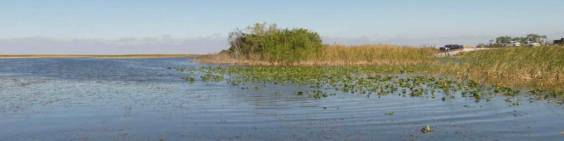Taking an airboat excursion to capture pics of The Everglades wildlife.