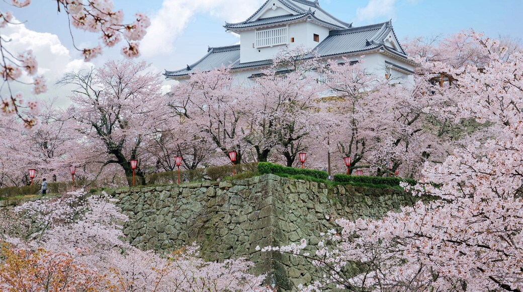 Tsuyama