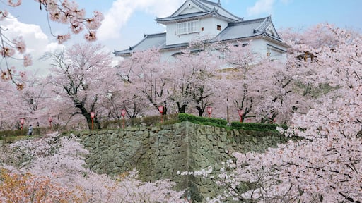 Tsuyama