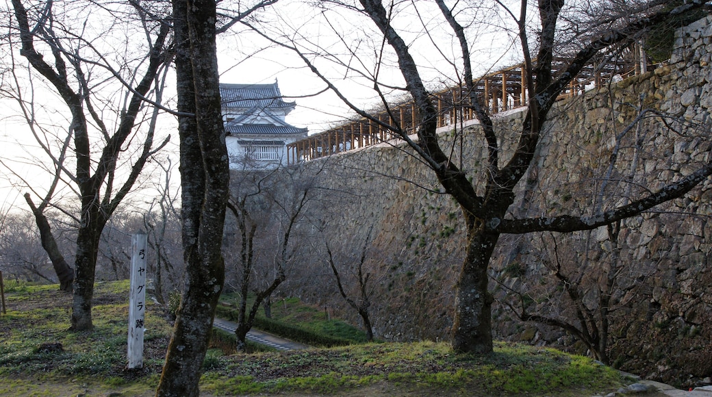 Tsuyama Castle in Tsuyama, Okayama prefecture, Japan.