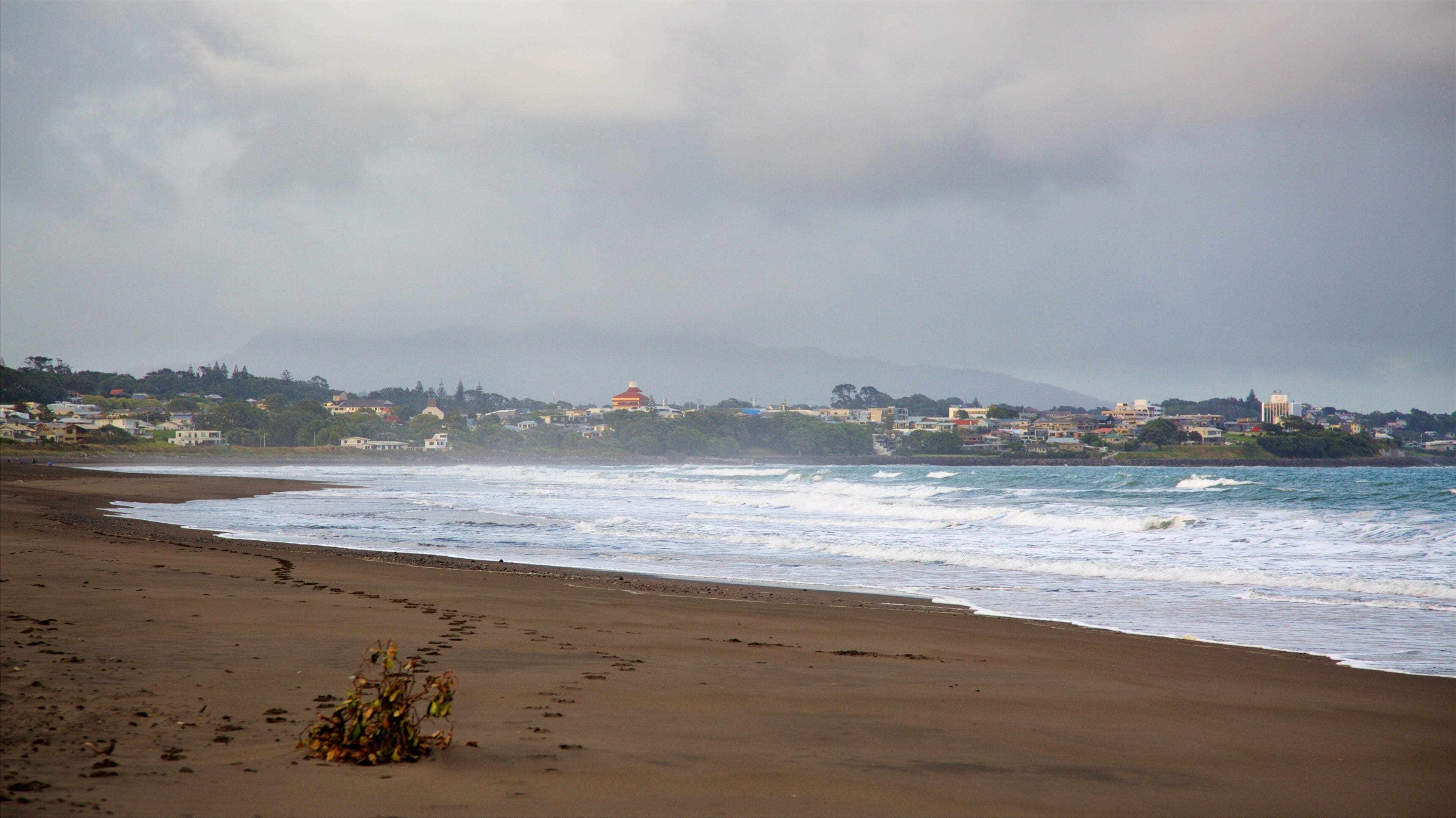 Fitzroy Beach toont golven, een baai of haven en een kuststadje