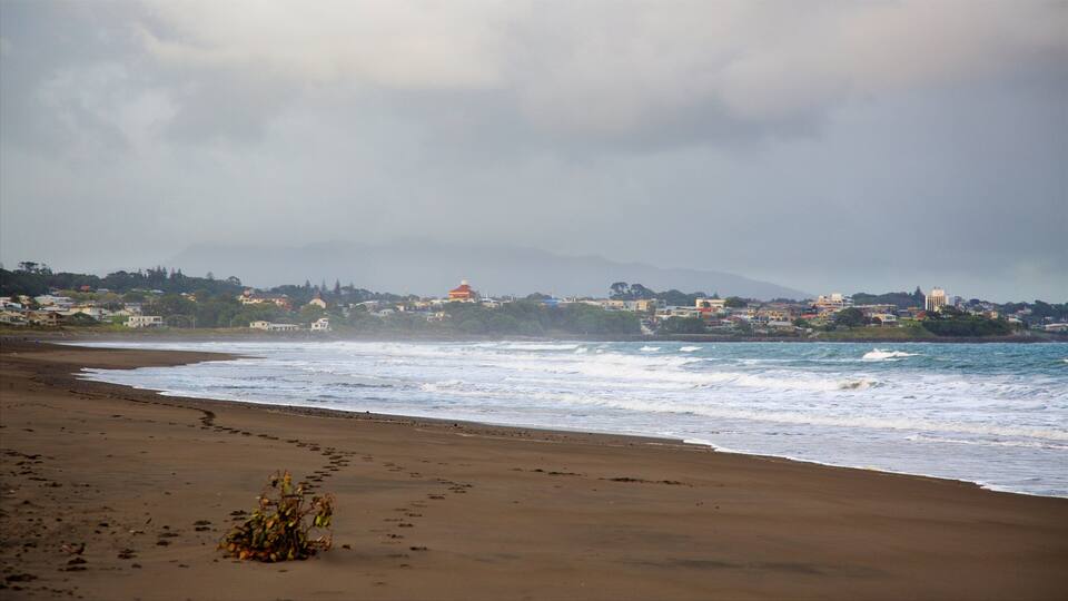 Fitzroy Beach som inkluderer kystby, bukt eller havn og surfing