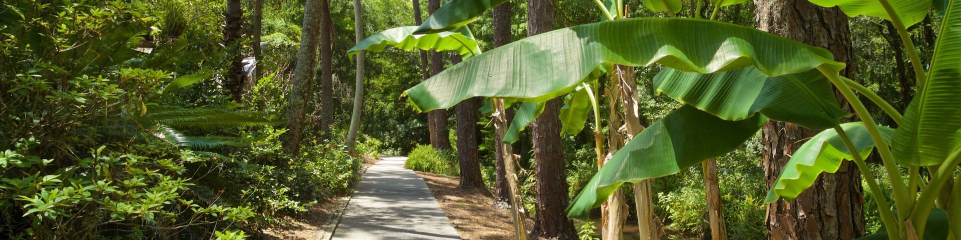 Eureka Springs Regional Park