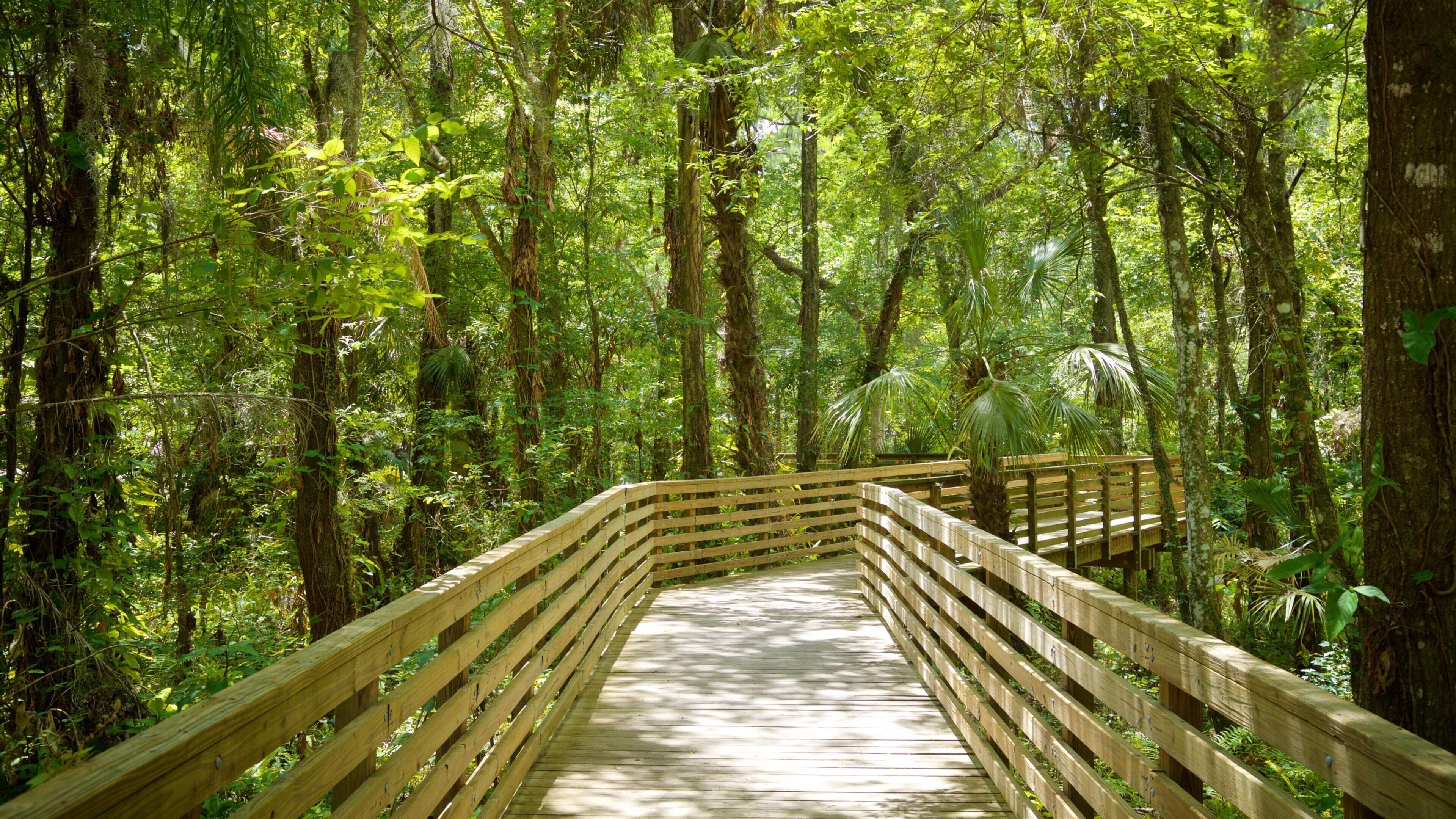 Eureka Springs Regional Park showing a bridge and a park
