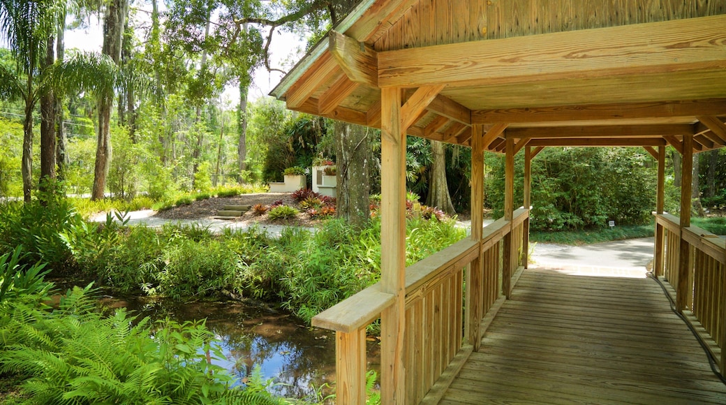 Eureka Springs Regional Park