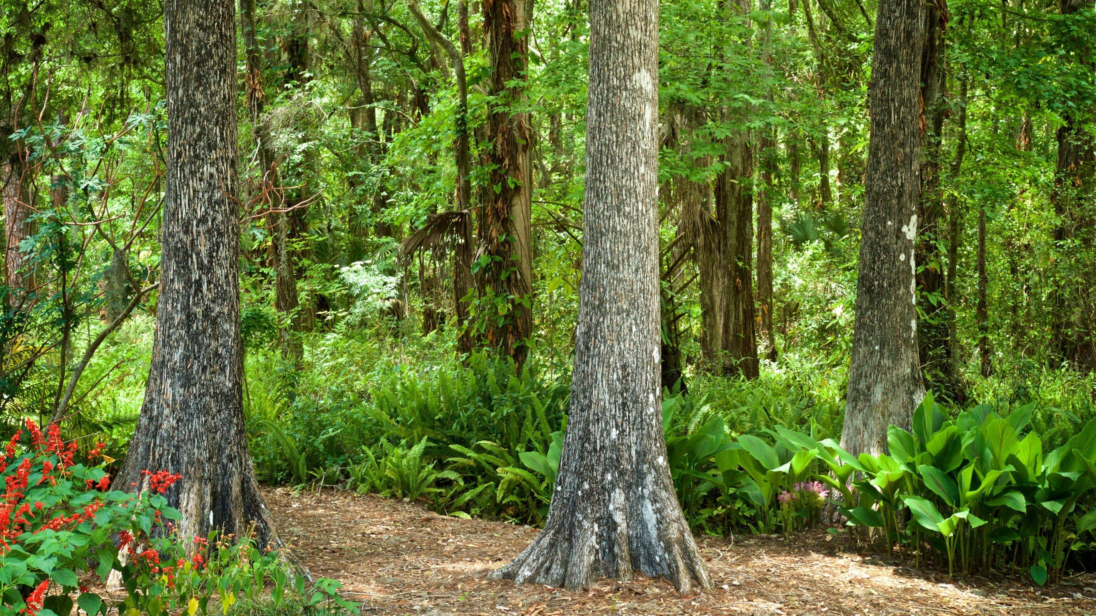 Eureka Springs Regional Park
