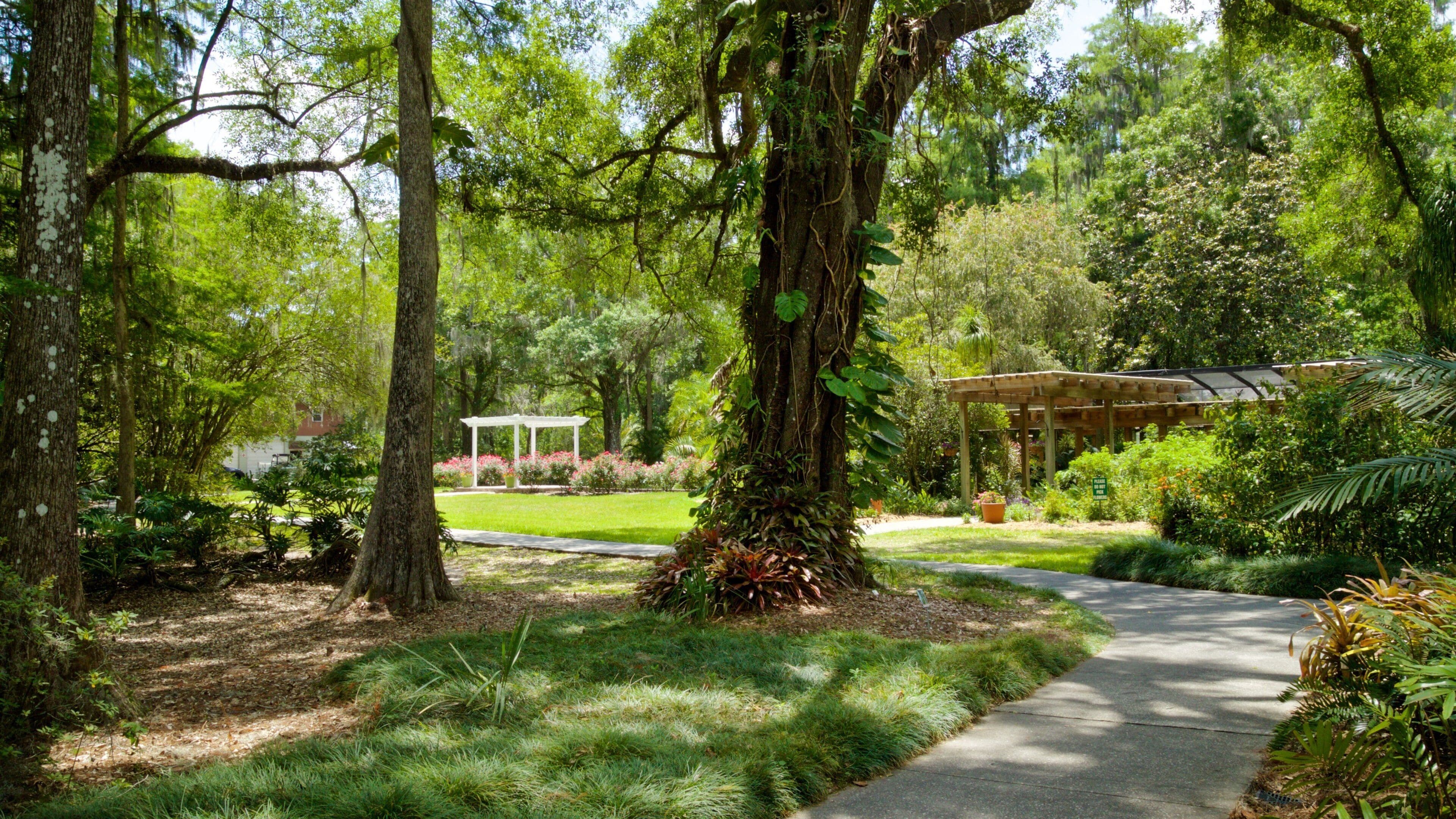 Eureka Springs Regional Park