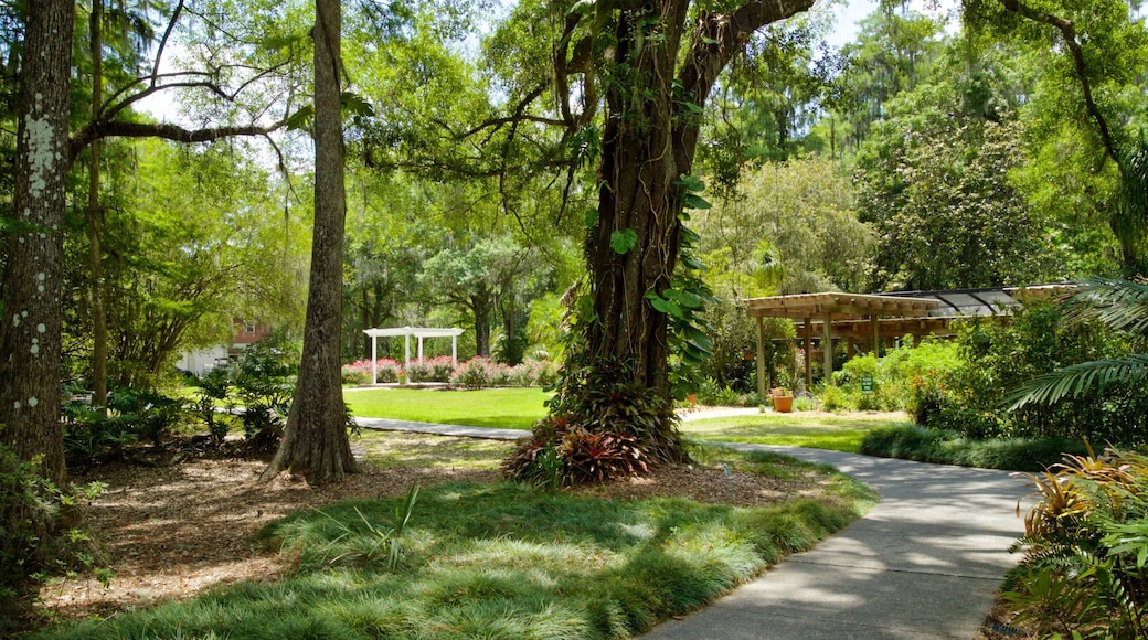 Eureka Springs Regional Park