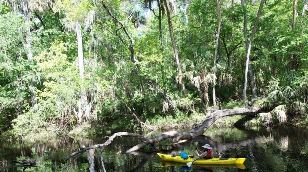 Check out some of the other pictures from this park, it's beautiful and worth visiting!
#TakeAHike
