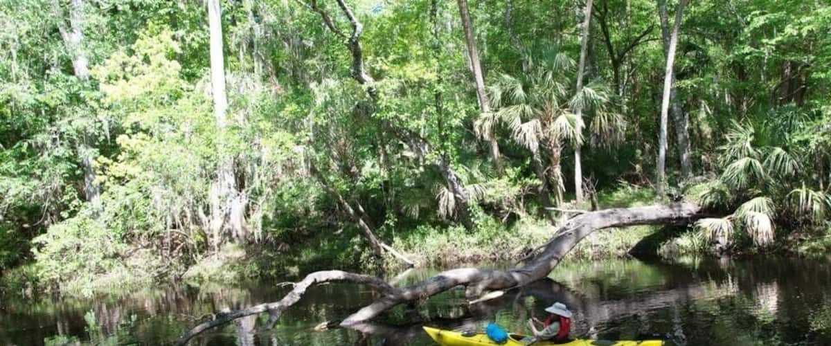 Check out some of the other pictures from this park, it's beautiful and worth visiting!
#TakeAHike