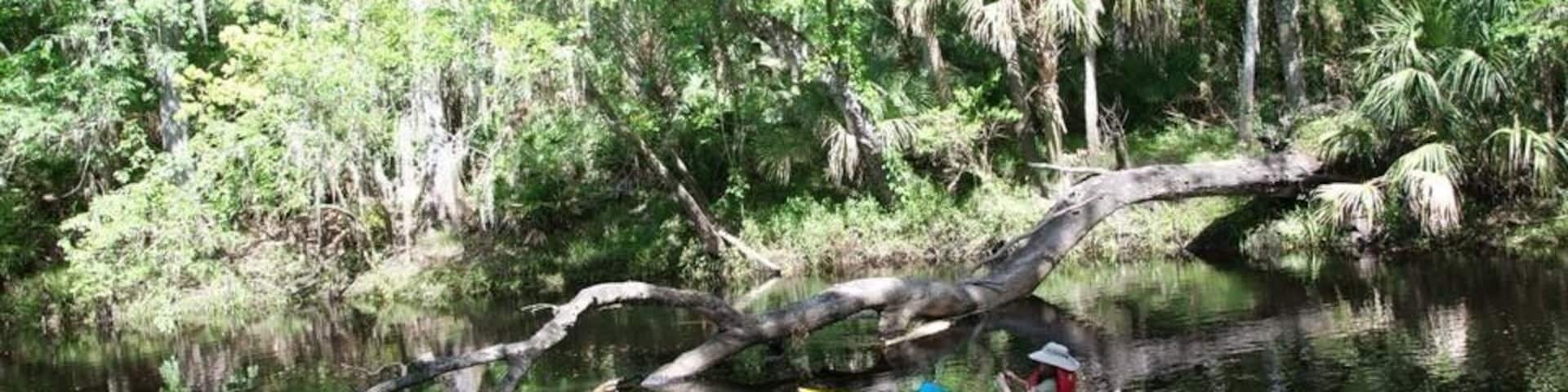 Check out some of the other pictures from this park, it's beautiful and worth visiting!
#TakeAHike