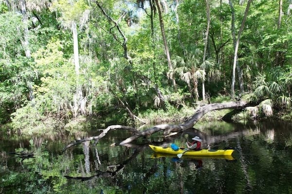 Check out some of the other pictures from this park, it's beautiful and worth visiting!
#TakeAHike