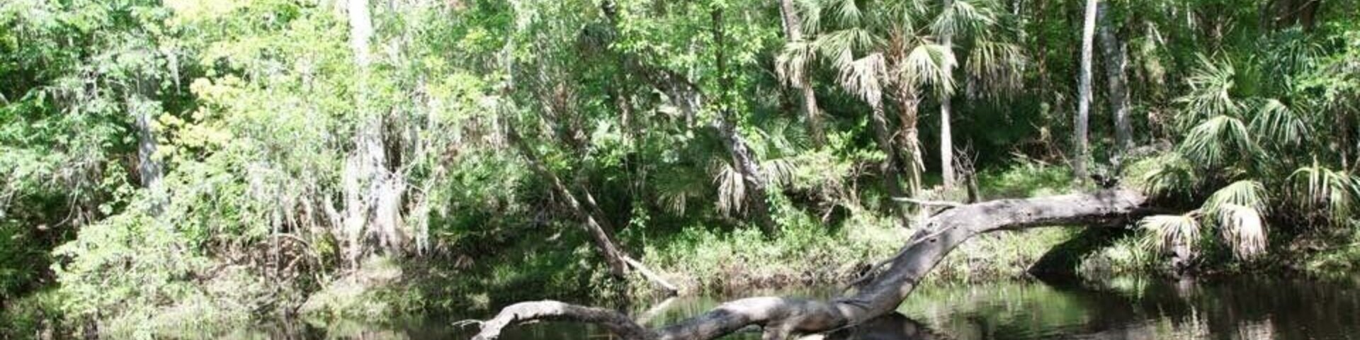 Check out some of the other pictures from this park, it's beautiful and worth visiting!
#TakeAHike