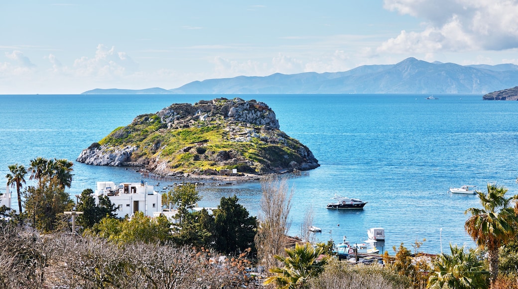 Isla Conejo