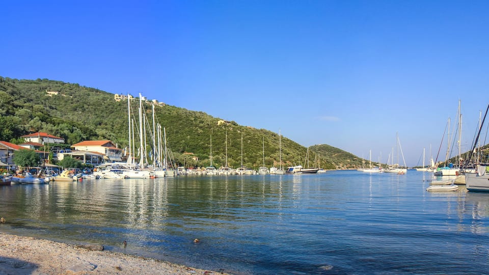 A marina with boats docked, a hill with buildings, and a clear blue sky.