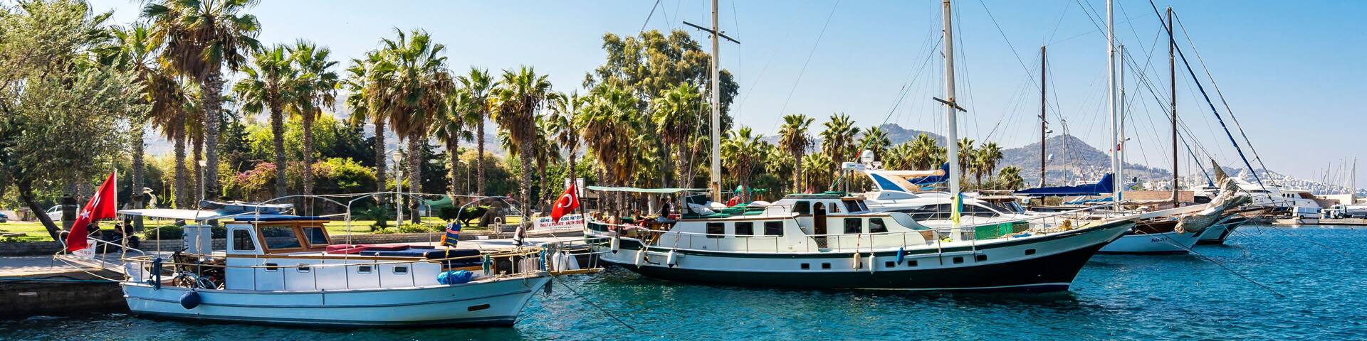 A marina with several sailboats docked, palm trees, and a clear blue sky.