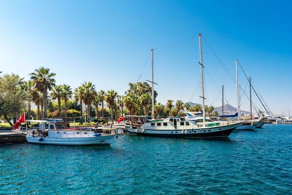A marina with several sailboats docked, palm trees, and a clear blue sky.