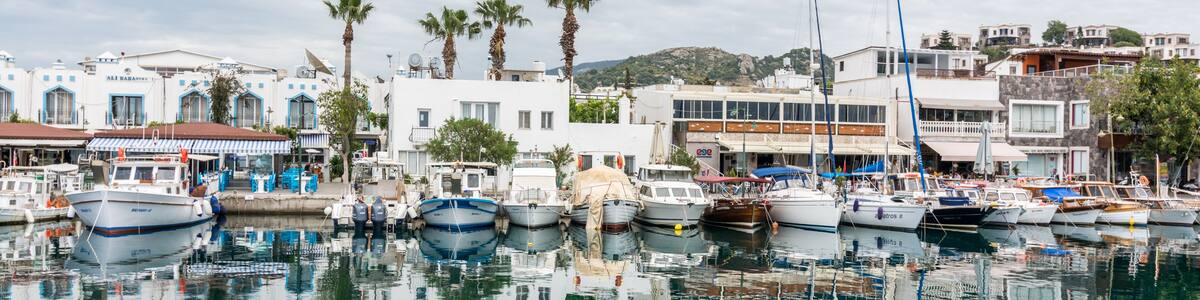 A marina with boats docked, palm trees, and buildings with blue accents.