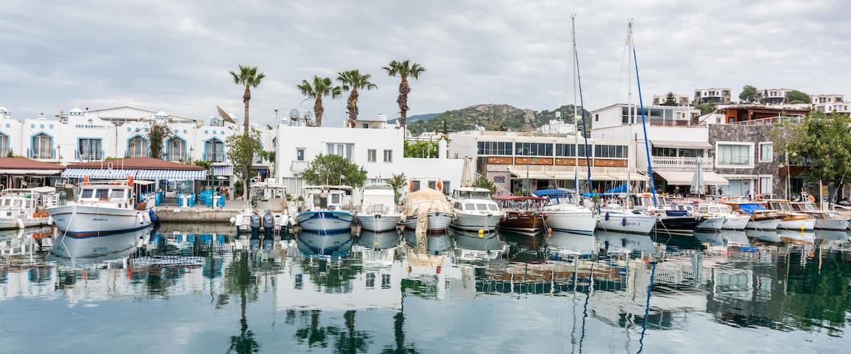 Un puerto deportivo con barcos amarrados, palmeras y edificios con detalles en azul.