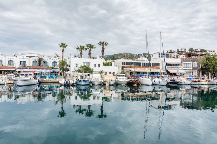 Un port de plaisance avec des bateaux amarrés, des palmiers et des bâtiments aux accents bleus.