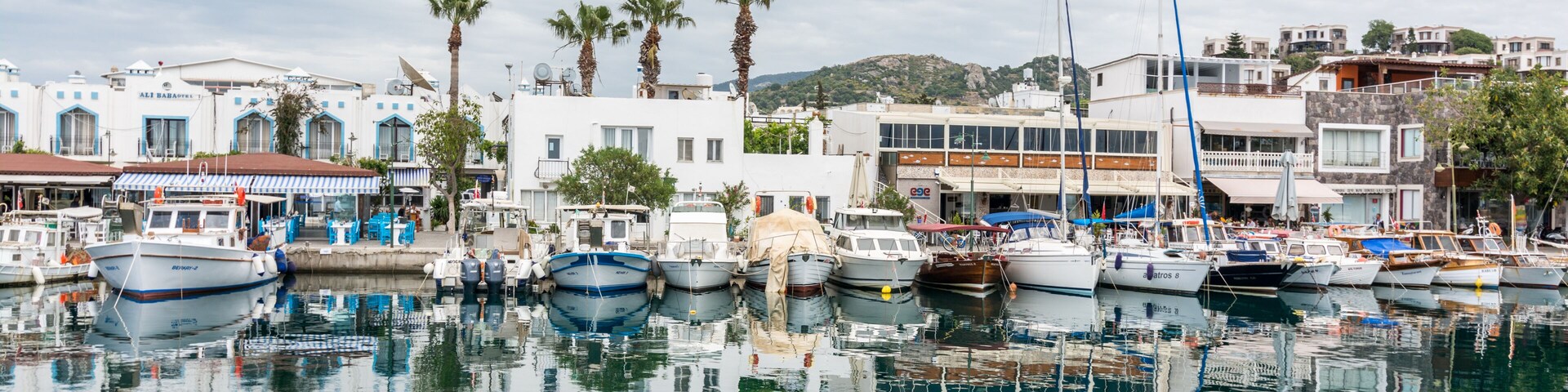 Un puerto deportivo con barcos amarrados, palmeras y edificios con detalles en azul.