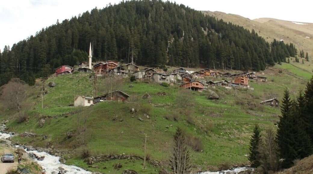 Haldizen plateau, Ăaykara, Trabzon, Turkey
#SpringFun