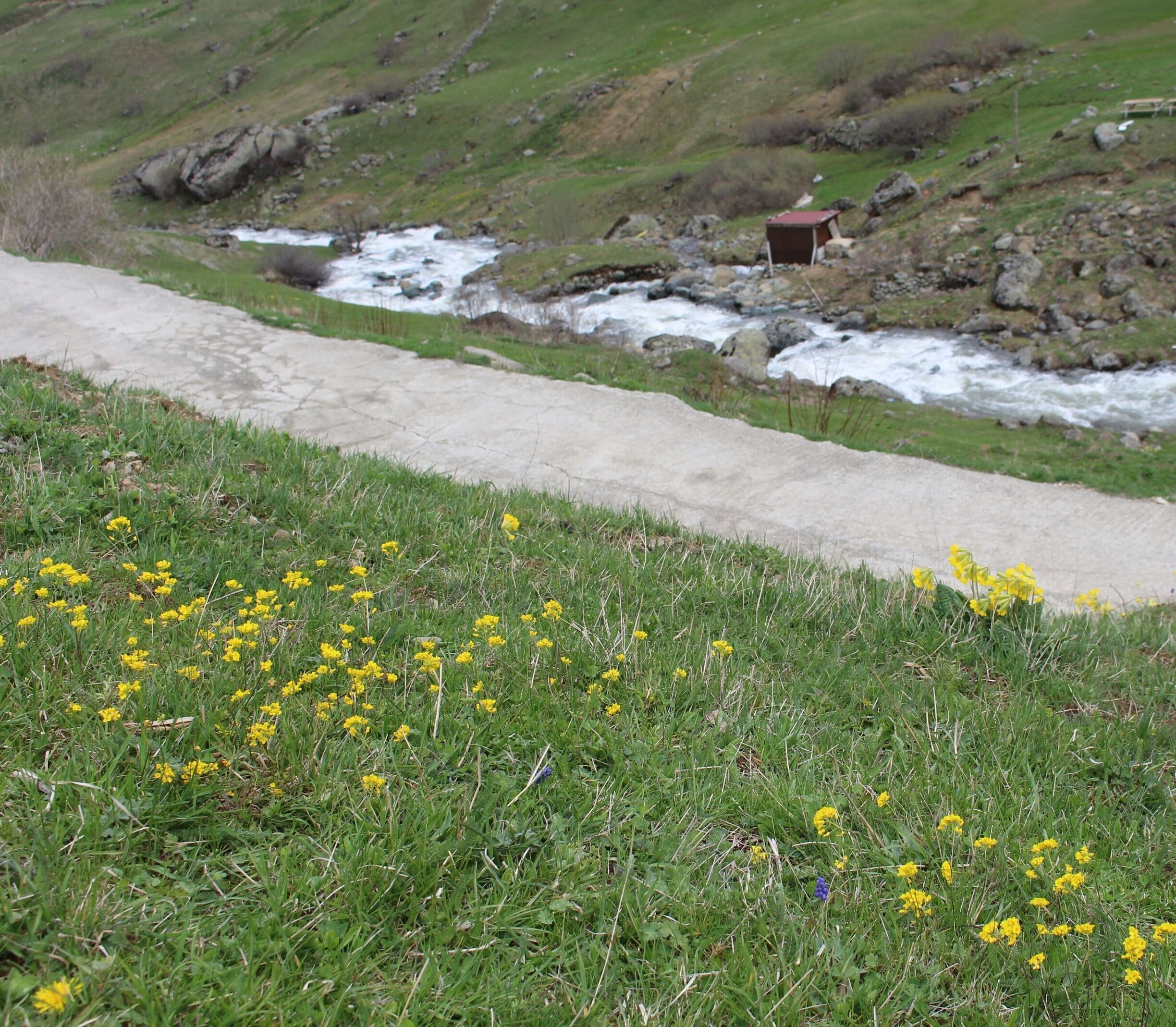 Haldizen plateau, Çaykara, Trabzon, Turkey 
#SpringFun 