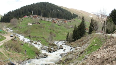 Haldizen plateau, Çaykara, Trabzon, Turkey
#SpringFun