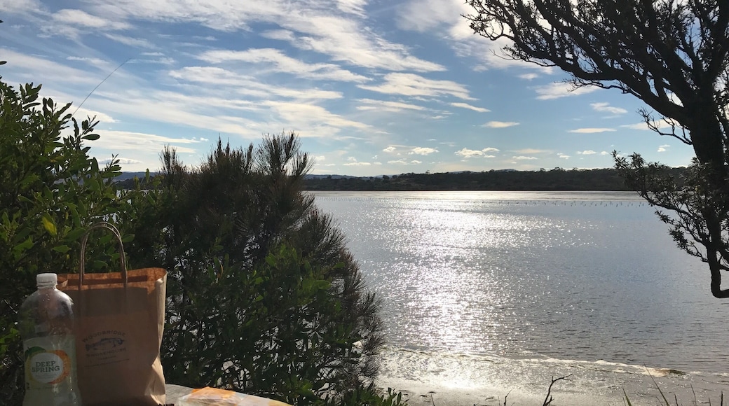 Thanks Melshell, Top 1 oyster picnic experience in my life with such a peaceful view.