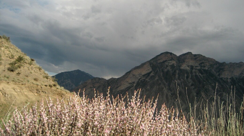 Wild countryside as you head towards the Kackar mountains.