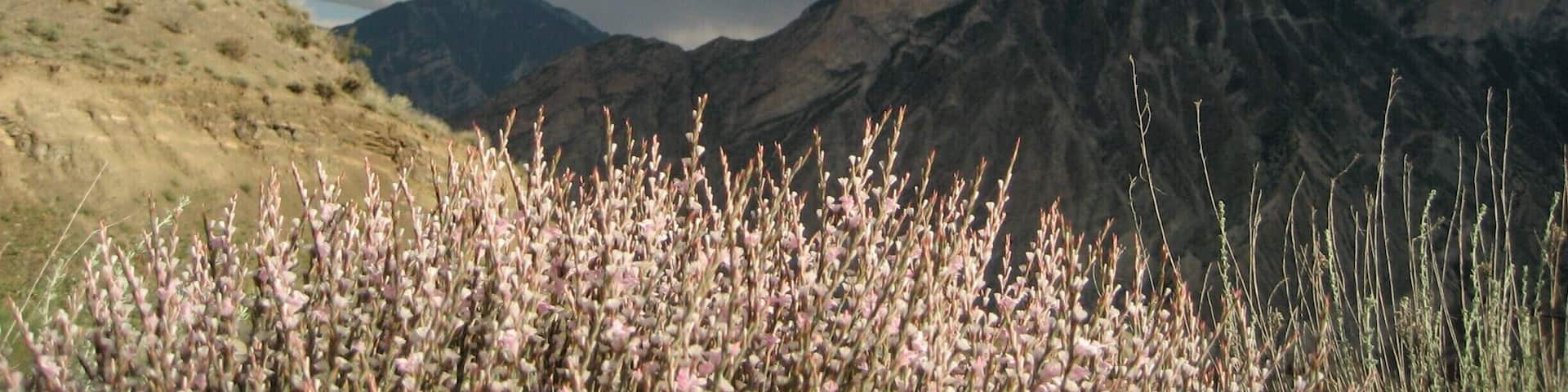 Wild countryside as you head towards the Kackar mountains.