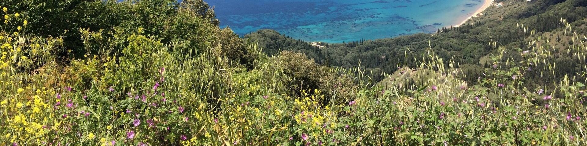 Beau point de vue sur la route vers Agios Georgios à Corfou !
