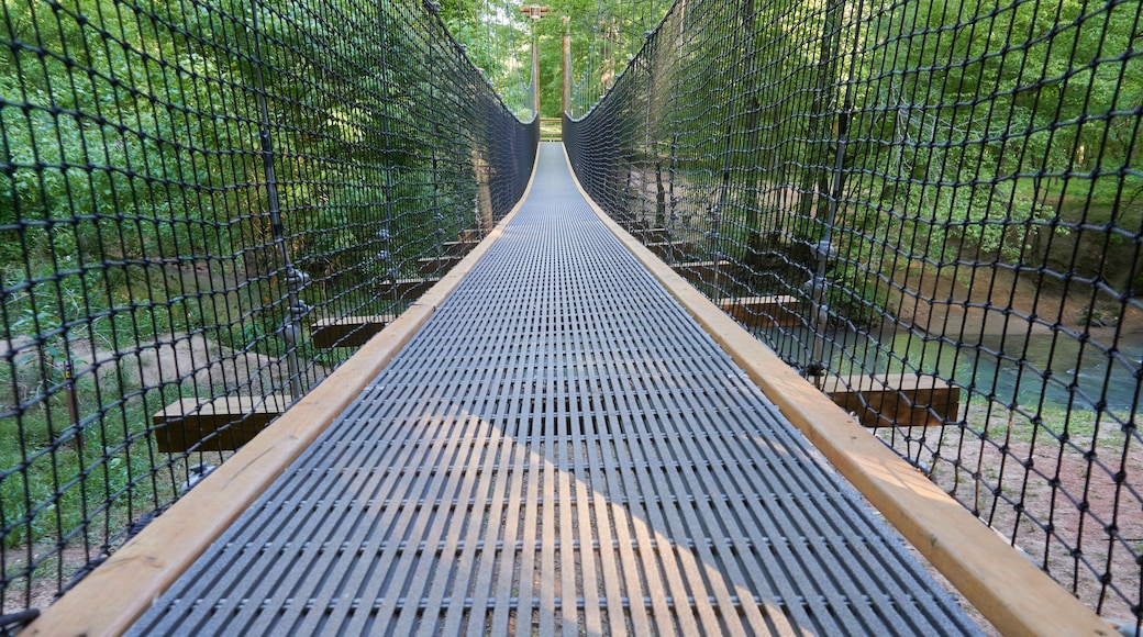 FORT MILL, SOUTH CAROLINA/UNITED STATES – APRIL 27, 2019: Suspension bridge at Anne Springs Close Greenway in Fort Mill, South Carolina.