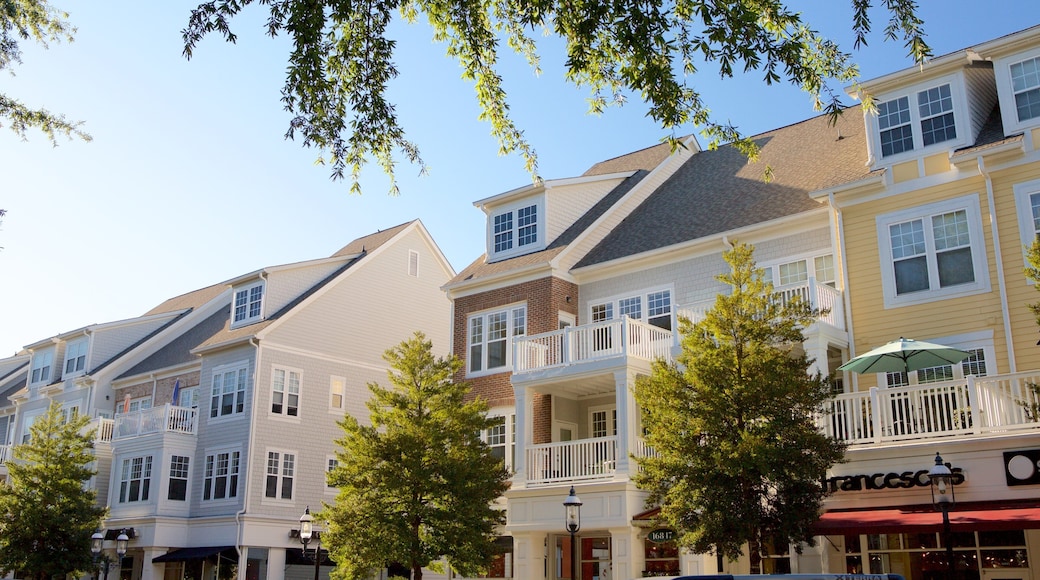 Birkdale Village showing modern architecture