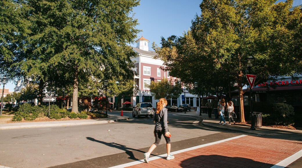 Birkdale Village showing street scenes as well as an individual femail