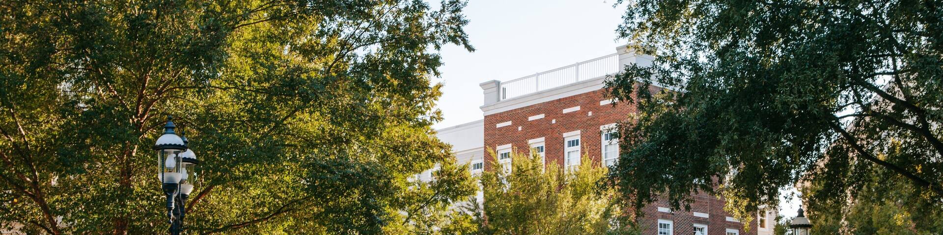 Birkdale Village showing cycling and street scenes as well as a couple