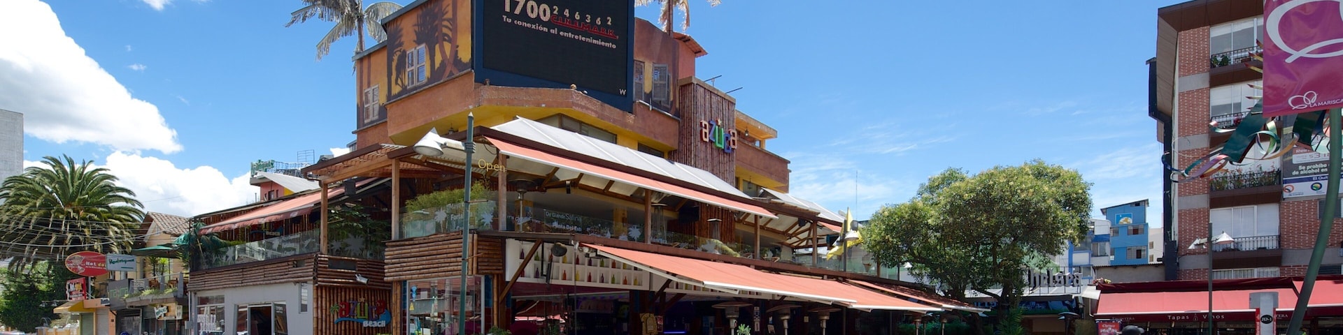 Plaza Foch que incluye imágenes de calles y una plaza