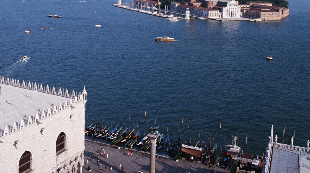 Aerial View of Venitian Harbor