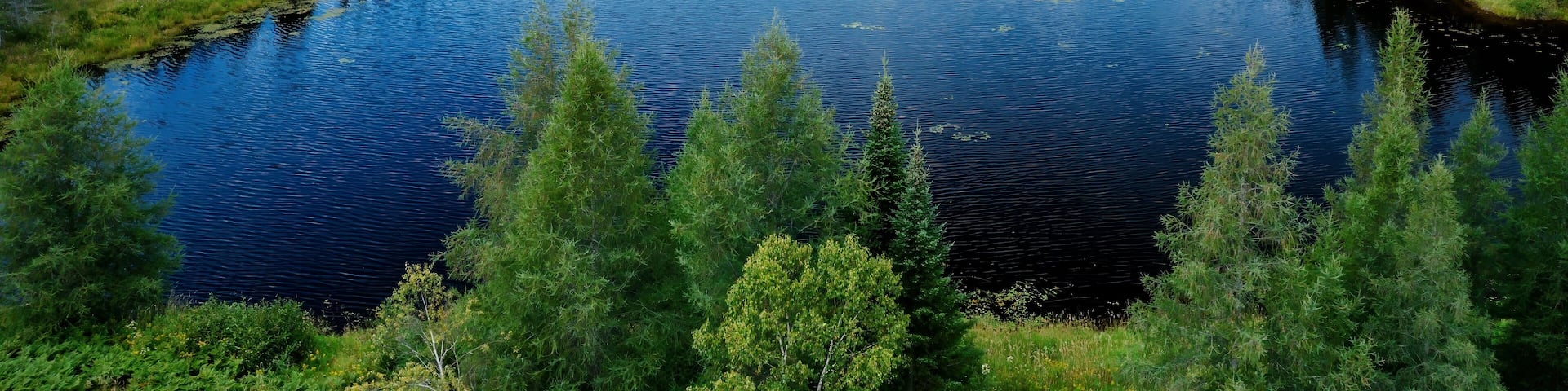 Small lake in the forest. Sainte-Lucie-des-Laurentides, Val David, Quebec, Canada.