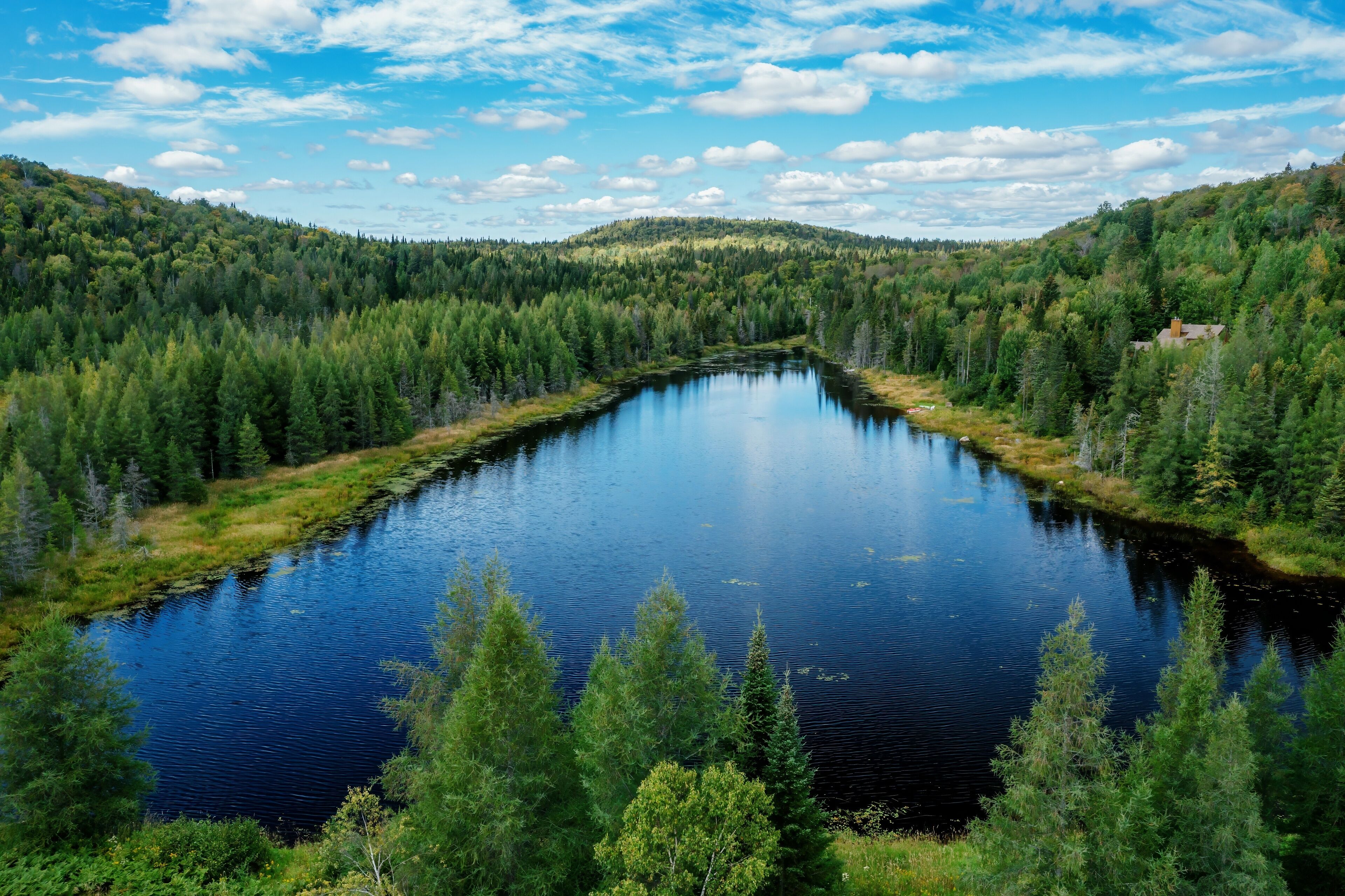 A calm river surrounded by dense forest and a small house on a hill.