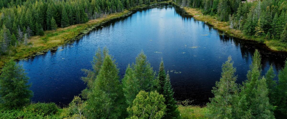 A calm river surrounded by dense forest and a small house on a hill.