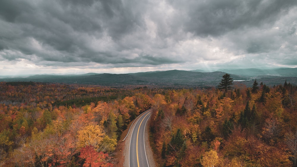 A winding road through a forest with autumn foliage, under a cloudy sky.
